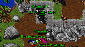 Elite Labrador on screen