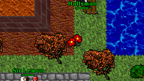 Hallsman on screen