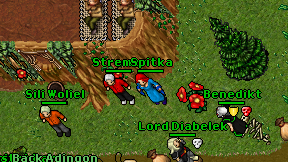 Stremer on screen