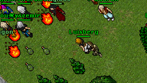Luisberg on screen