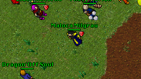 Maloca Milgrau on screen