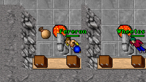 Fereron on screen