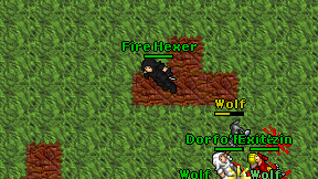 Fire Hexer on screen