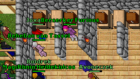 Berserker Furious on screen