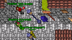 Brother expert on screen