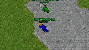 Narkissman on screen