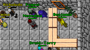 Druid-Torry on screen