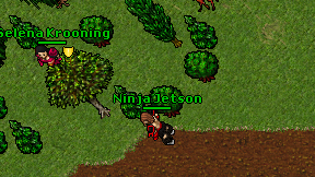 Ninja Jetson on screen