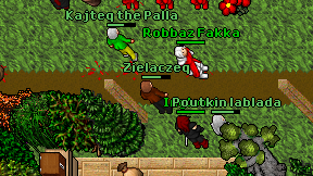 Zielaczeq on screen