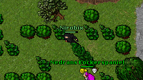 Nirobix on screen