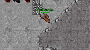 Pallarez on screen