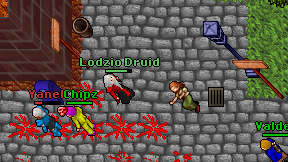 Lodzio Druid on screen