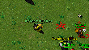 Acient Archer on screen