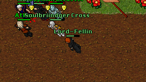 Lord-Fellin on screen