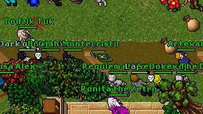 Artexan on screen