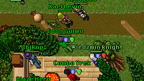 Edon Gulmo on screen