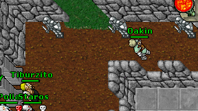 Oakin on screen