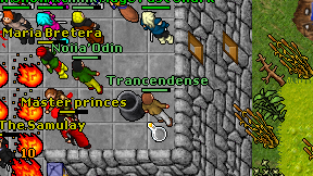 Trancendense on screen