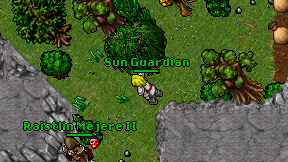 Sun Guardian on screen