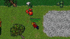 Gianss on screen