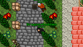 Dragonshadown on screen