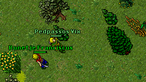 Pedpassos Vix on screen