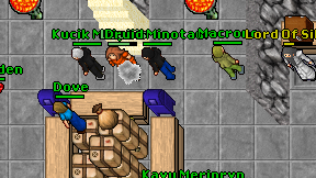 Druid Minotaur on screen