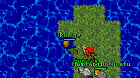 Pubige on screen