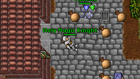 Holy Magic Knight on screen