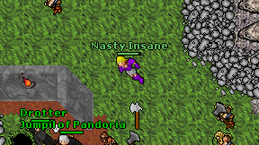 Nasty Insane on screen