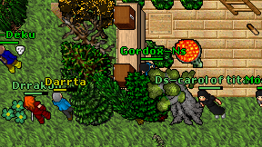 Gordox-Ns on screen