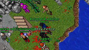 Knight Radzior on screen