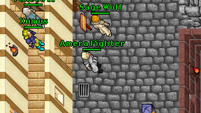 Amera Fighter on screen