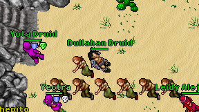 Dullahan Druid on screen