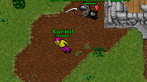 Karmil on screen