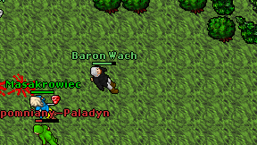Baron Wach on screen