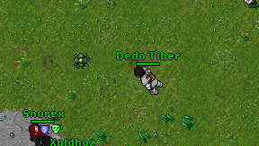 Dedo Tiber on screen