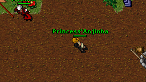 Princess'Anjinha on screen
