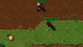 Denv'eh on screen