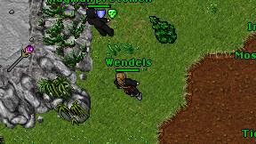 Wendels on screen