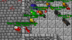 Silver-druid on screen