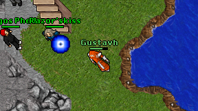 Gustavh on screen