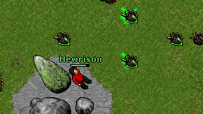 Hewrison on screen