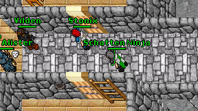 Schatten Ninja on screen