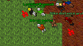 Atrax moron on screen