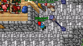 Hibepit on screen