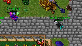 Jacksparro on screen