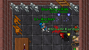 Li-Archer on screen