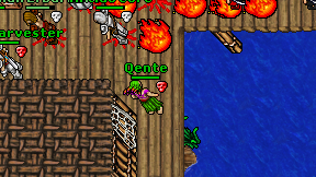 Qente on screen
