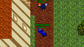 Hednap on screen